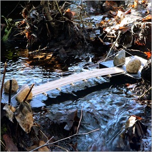 Model of the bridge